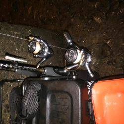 二刀流アジング