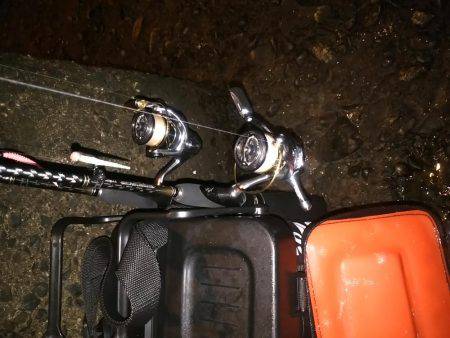 二刀流アジング