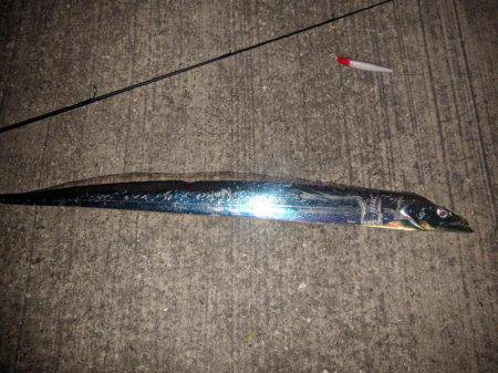 お気に入りのレッドヘッドちゃんが！