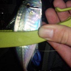 クリスマスプレゼントを釣りに！