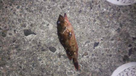 全然だめです。