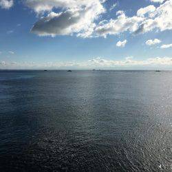 まだ、釣れましたショアジギング