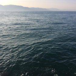 なんとか坊主は逃れたものの