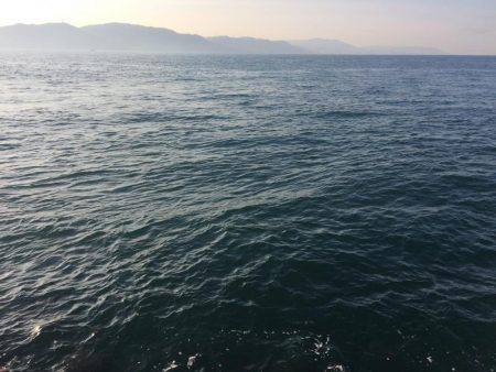 なんとか坊主は逃れたものの