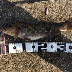 マイクロジギングでポン!