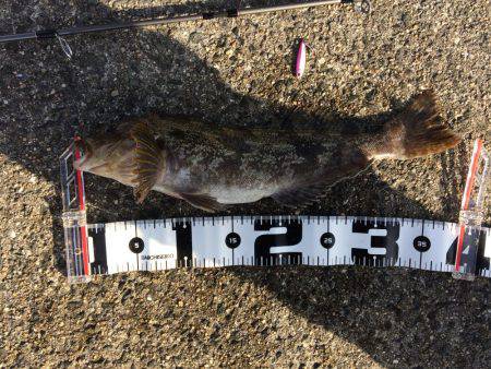 マイクロジギングでポン！