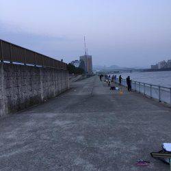 また行ってしまった。。