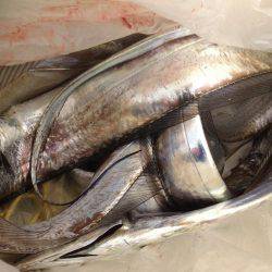 タチのみファイブ