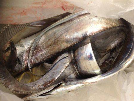 タチのみファイブ