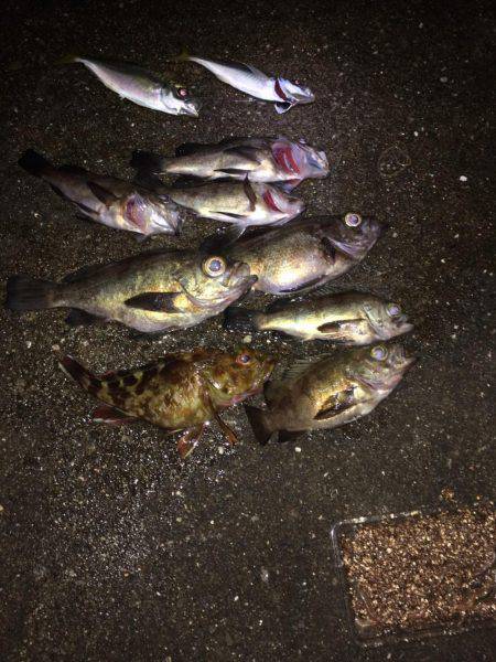 サーフメバリング