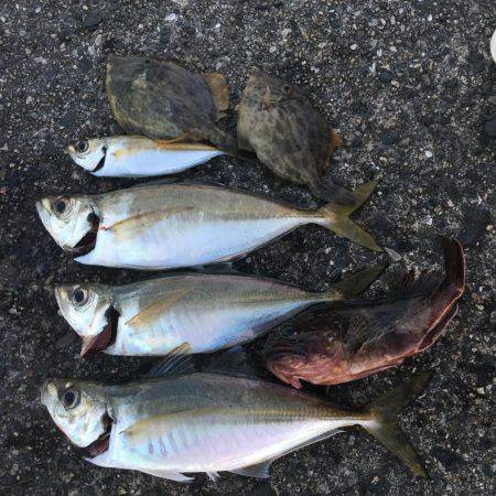 ハゲはダメでしたがー！