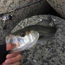 こいつで初めて？！