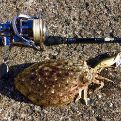 ホゲリンピック(笑)