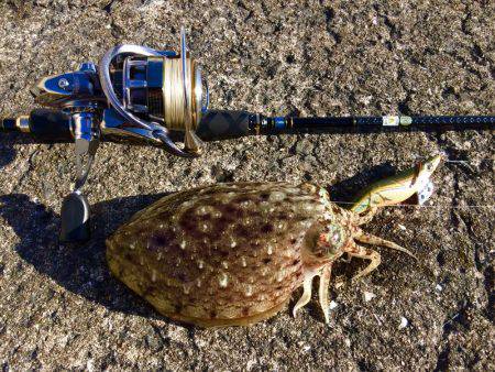 ホゲリンピック(笑)