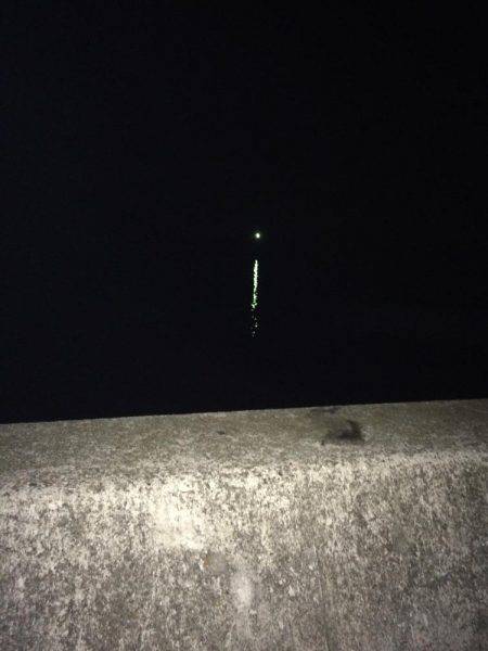 アオリイカ不発のちタチウオ、アジ