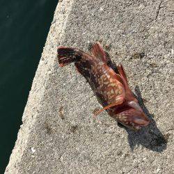 あったかかった〜♪