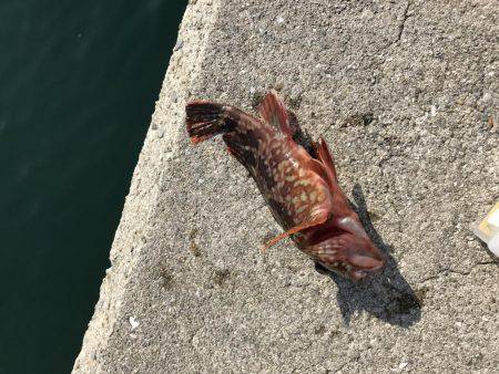 あったかかった〜♪