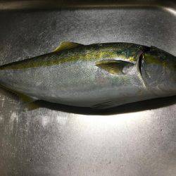 そろそろ終わり