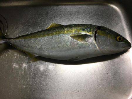 そろそろ終わり