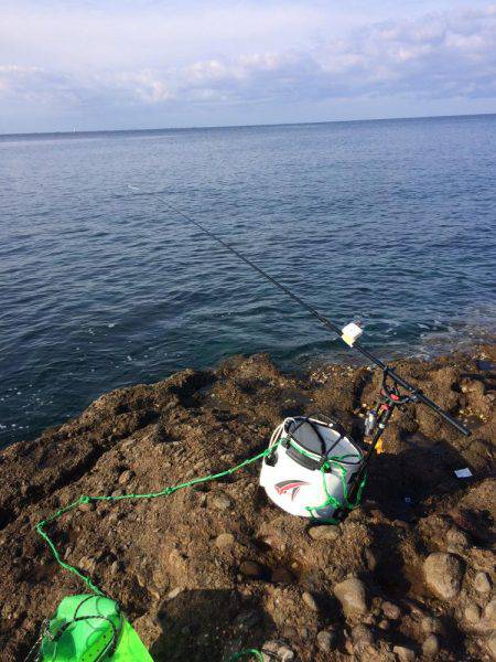 まだまだ新子がいてる