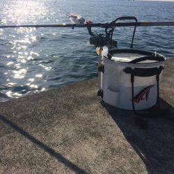 i wish your merry christmas