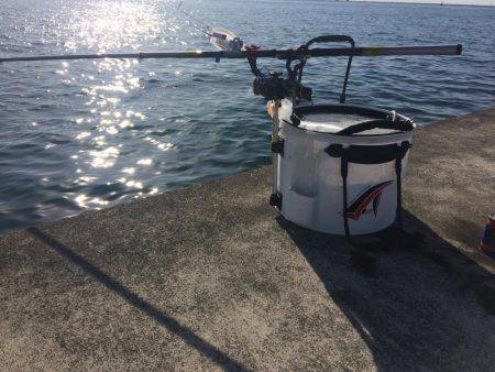 i wish your merry christmas