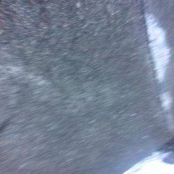 今年ラスト釣行