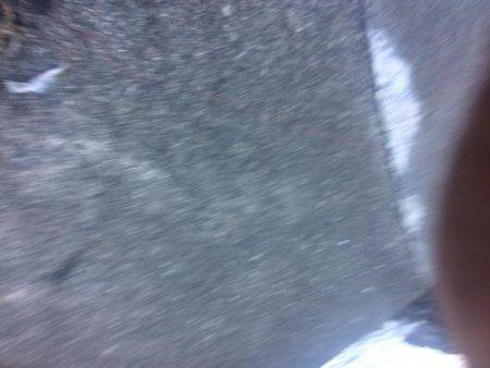 今年ラスト釣行