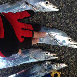 今年最後の刀狩り