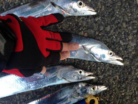 今年最後の刀狩り