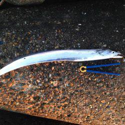 釣り納め刀狩り