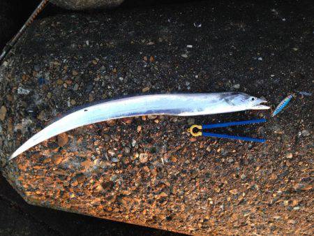 釣り納め刀狩り