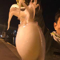 シリアケイカ〜