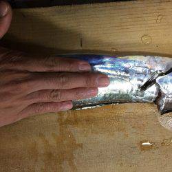 タッチー渋かった^^;