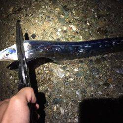 雨上がりのタイミングに(^o^)