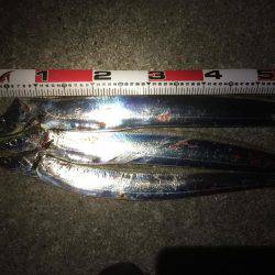 初ドラゴン〜〜まさかのバラシ(>_<)