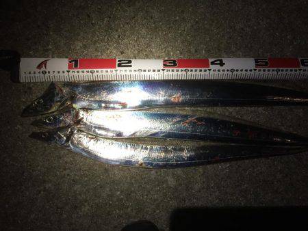 初ドラゴン〜〜まさかのバラシ(>_&…