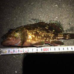 ロッドセットの衣替え(^.^)