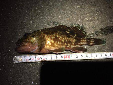 ロッドセットの衣替え(^.^)