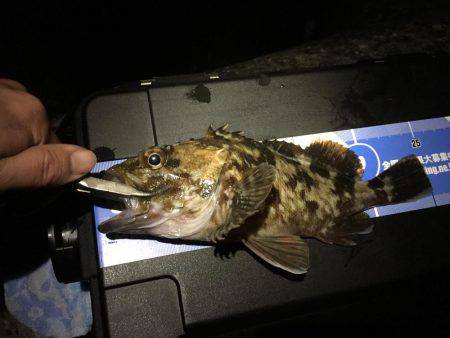 連日のガシリング(^.^)