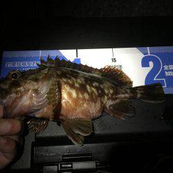 今年最後の釣り納め