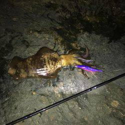 釣り三昧な連休でした