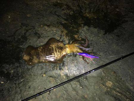 釣り三昧な連休でした