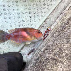 印南の伝馬船にて