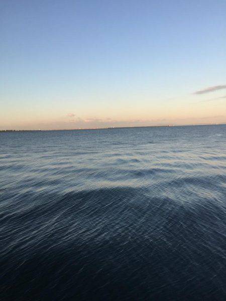 ドラゴンを求めて