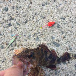 釣り納め穴釣り