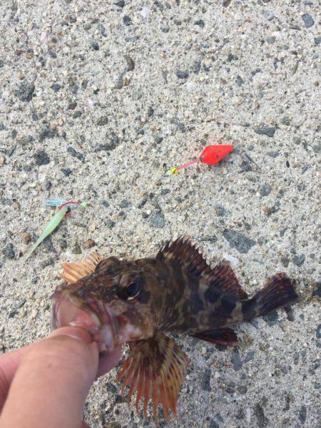 釣り納め穴釣り