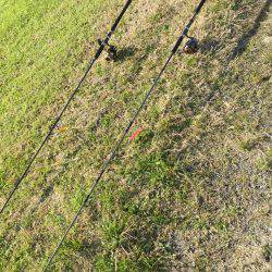 クリスマスプレゼント