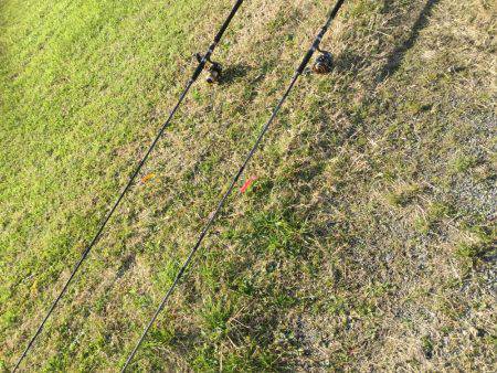 クリスマスプレゼント