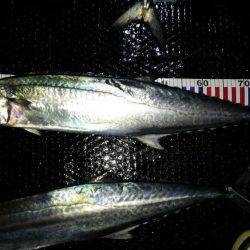 初めてのジギング船